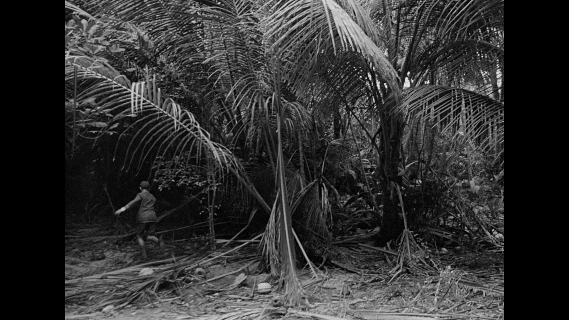 蝇王剧照的剧照