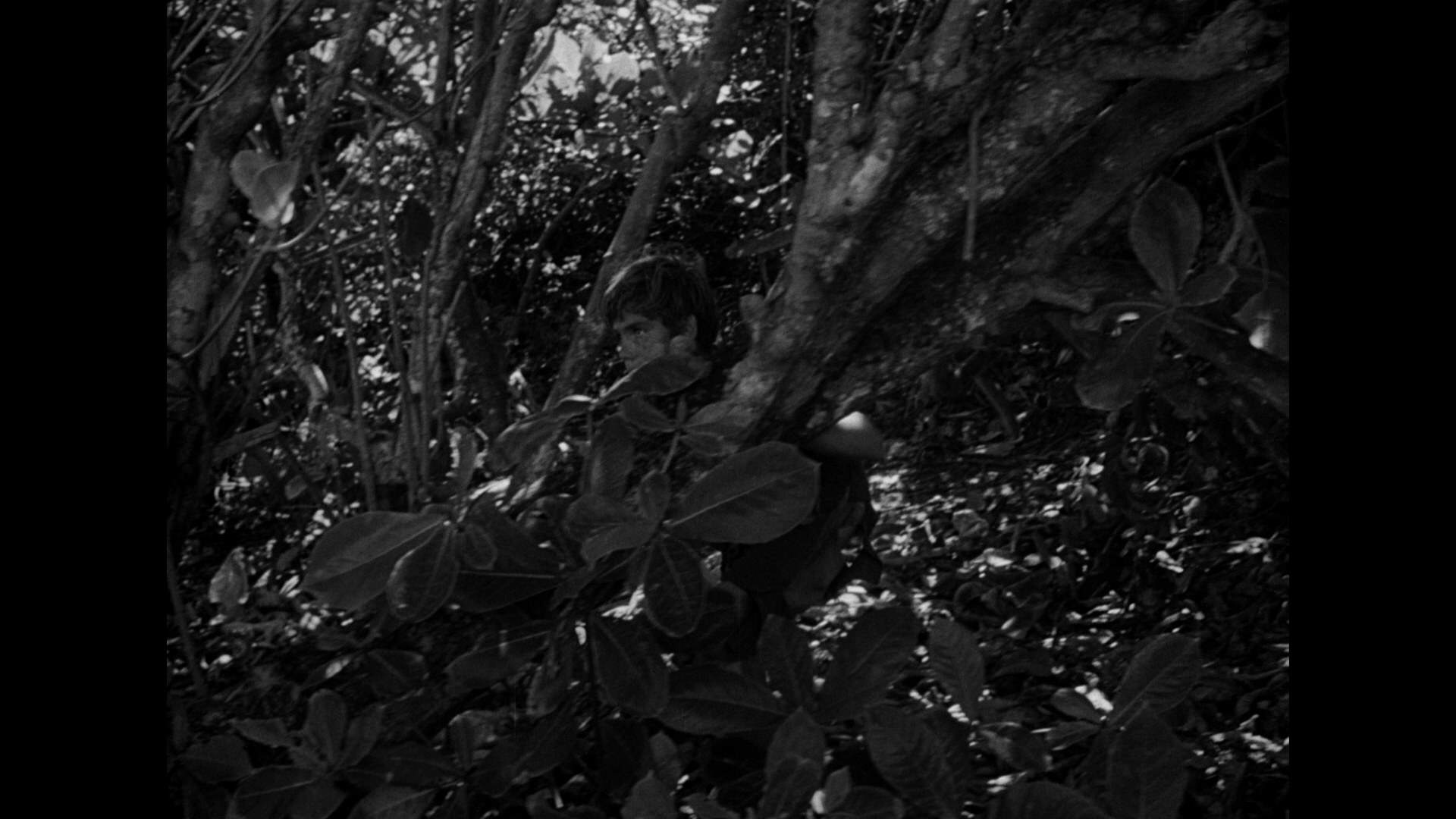 蝇王剧照的剧照