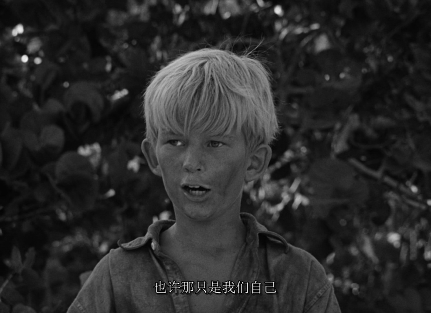 蝇王剧照的剧照