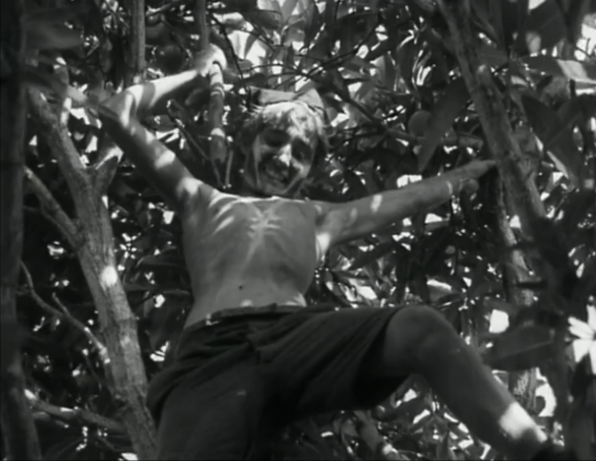 蝇王剧照的剧照