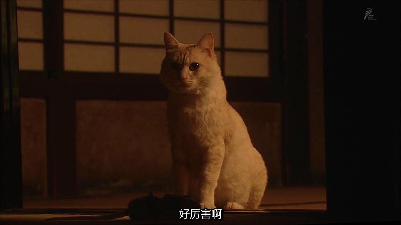 行走、行走、行走剧照的剧照