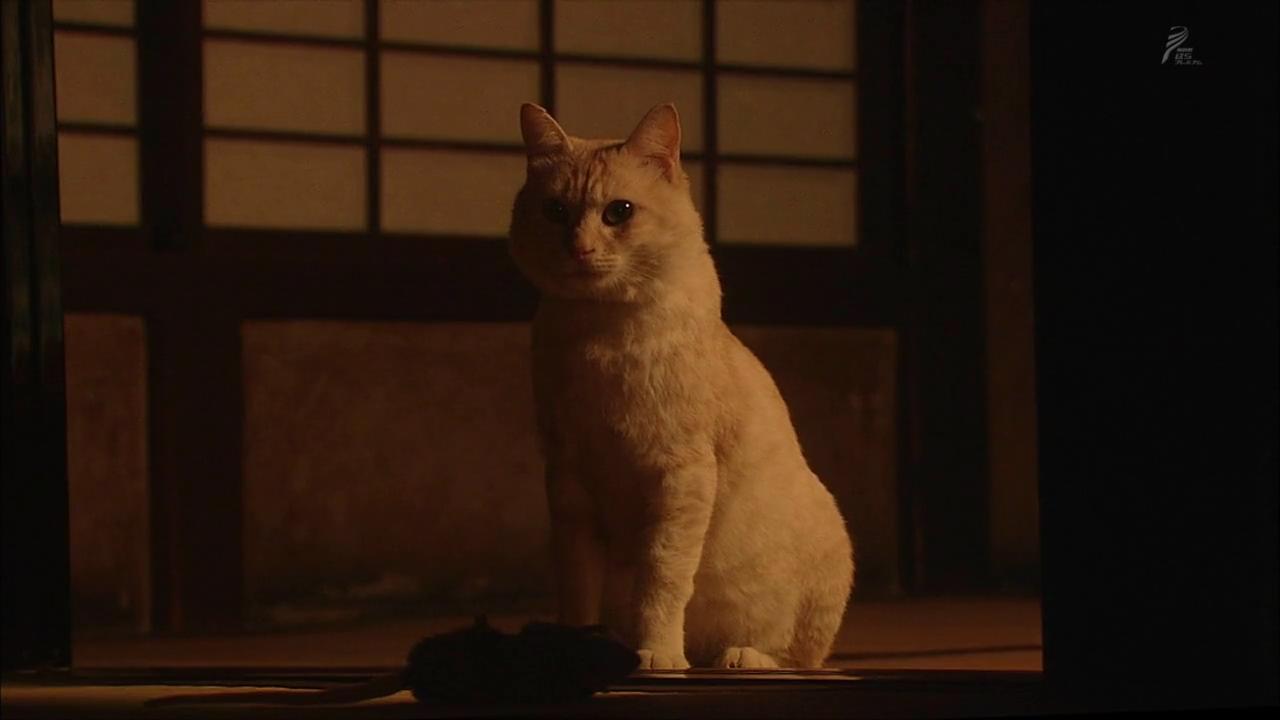 行走、行走、行走剧照的剧照