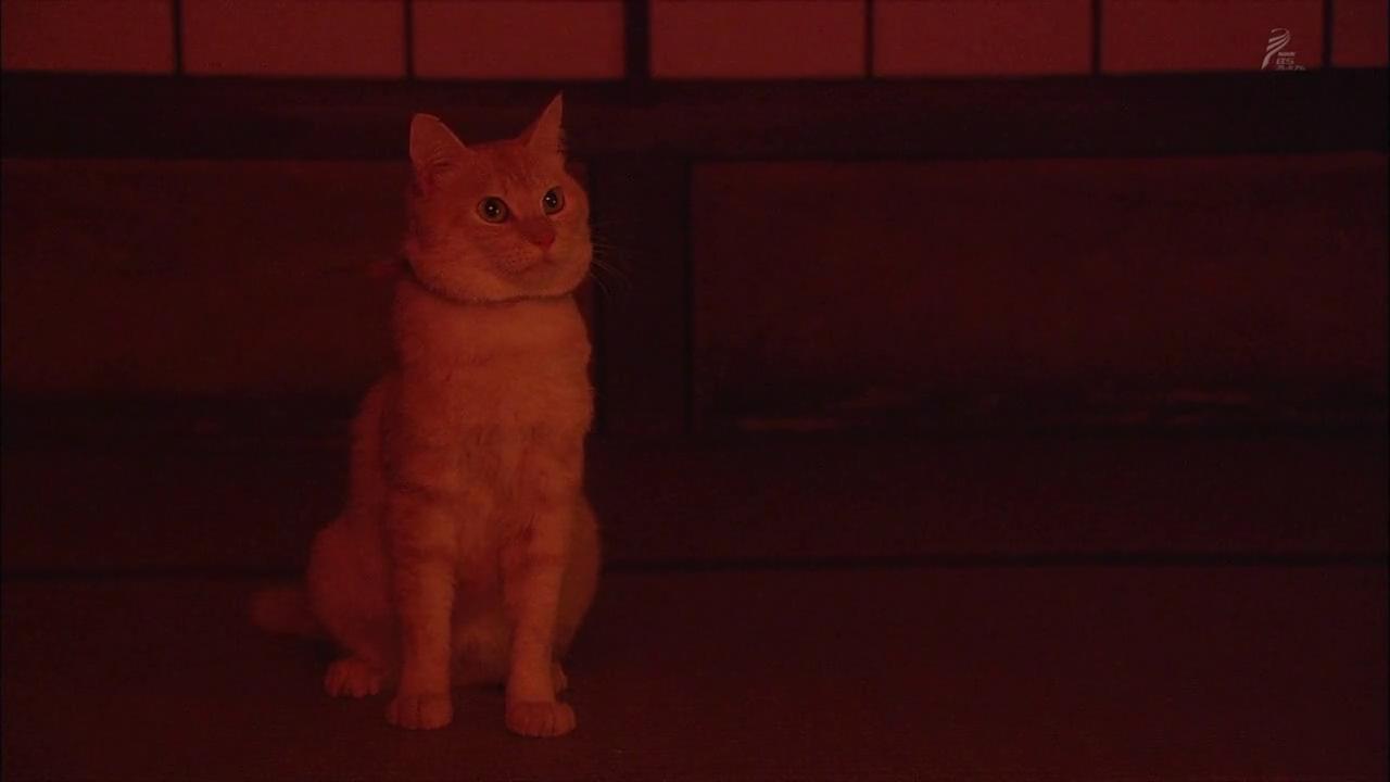 行走、行走、行走剧照的剧照