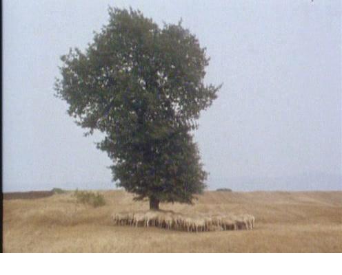 雕刻时光剧照的剧照