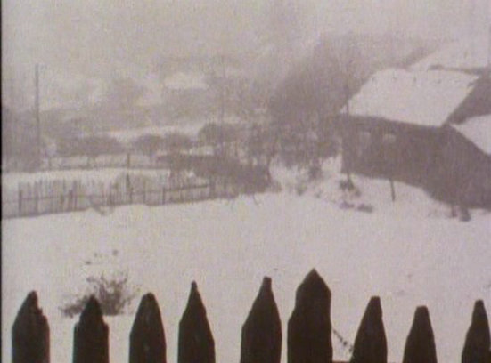 雕刻时光剧照的剧照