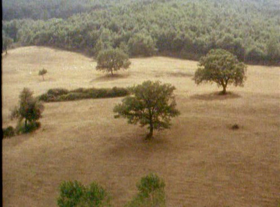 雕刻时光剧照的剧照