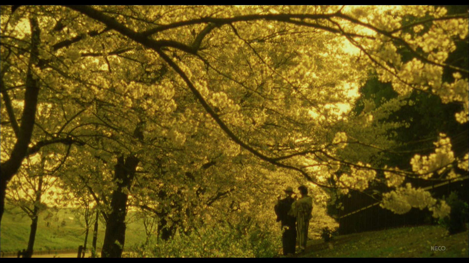 人间椅子剧照的剧照