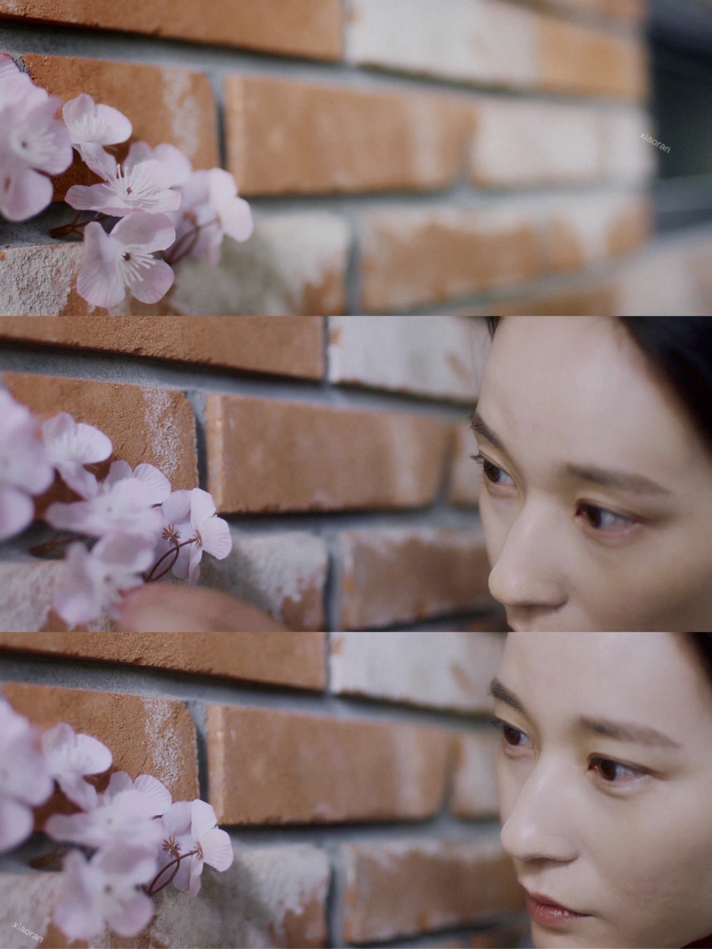 季节与季节之间剧照的剧照