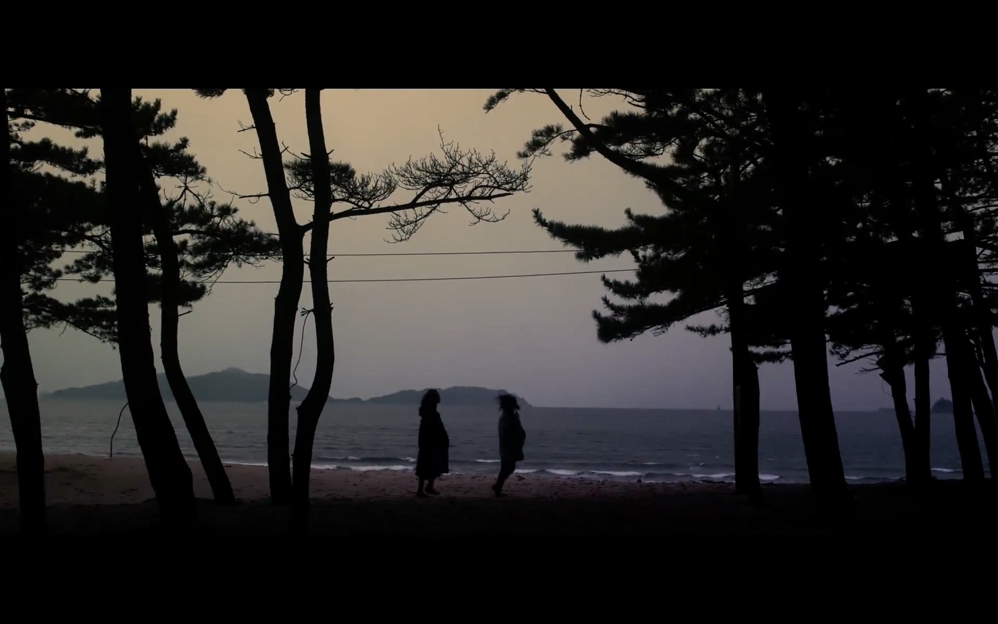 季节与季节之间剧照的剧照