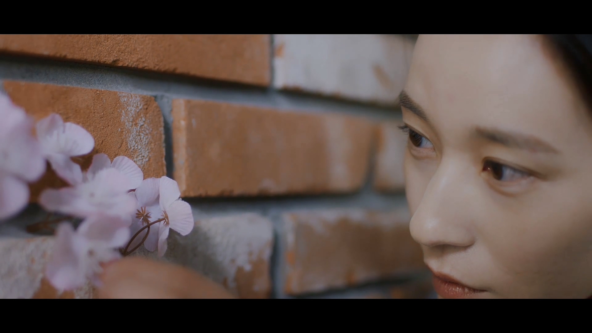 季节与季节之间剧照的剧照