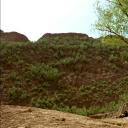 押解的故事剧照