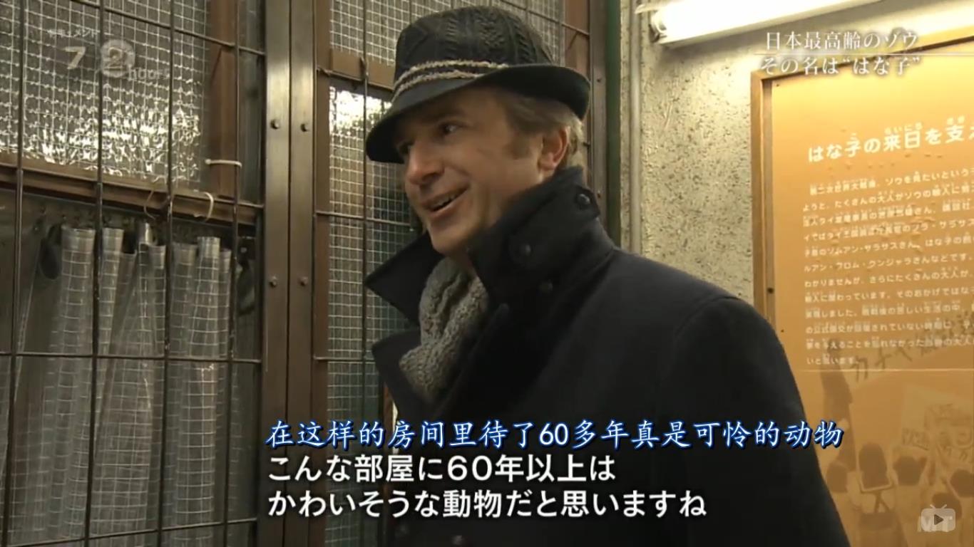 纪实72小时 隆冬的东京 有一种温暖叫“花子”剧照的剧照