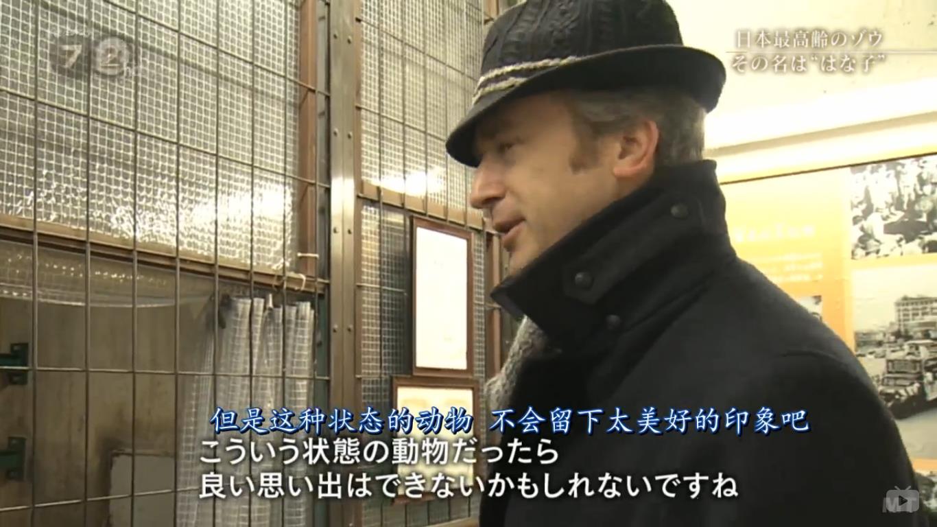 纪实72小时 隆冬的东京 有一种温暖叫“花子”剧照的剧照