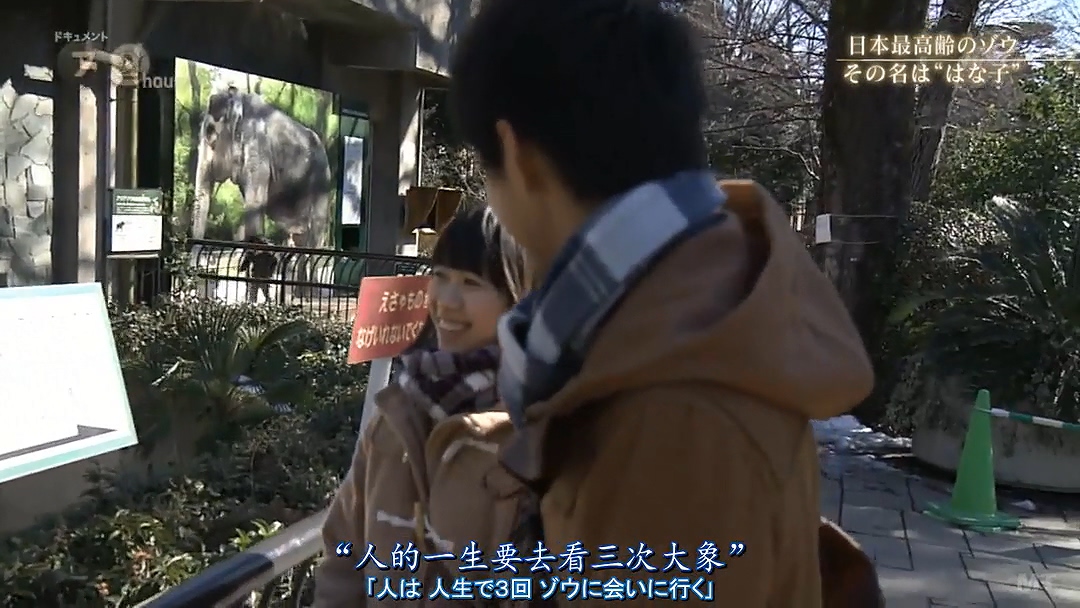 纪实72小时 隆冬的东京 有一种温暖叫“花子”剧照的剧照