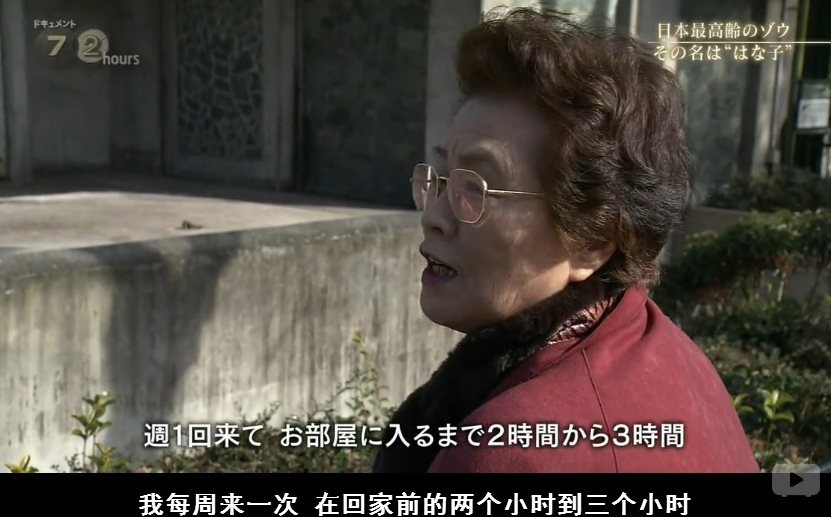 纪实72小时 隆冬的东京 有一种温暖叫“花子”剧照的剧照