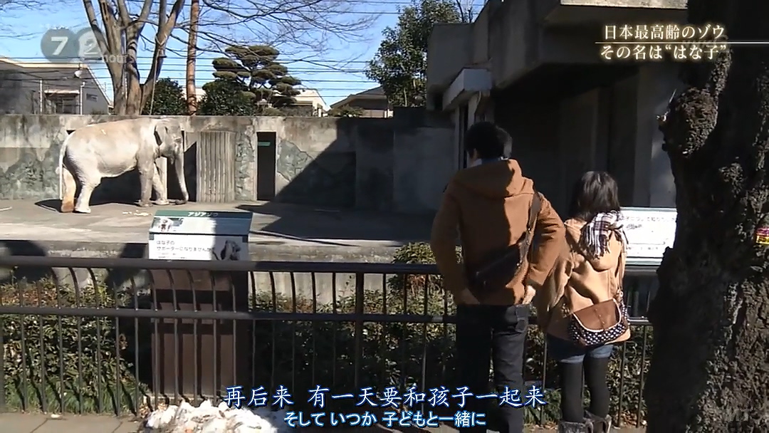 纪实72小时 隆冬的东京 有一种温暖叫“花子”剧照的剧照