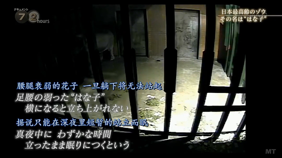 纪实72小时 隆冬的东京 有一种温暖叫“花子”剧照的剧照