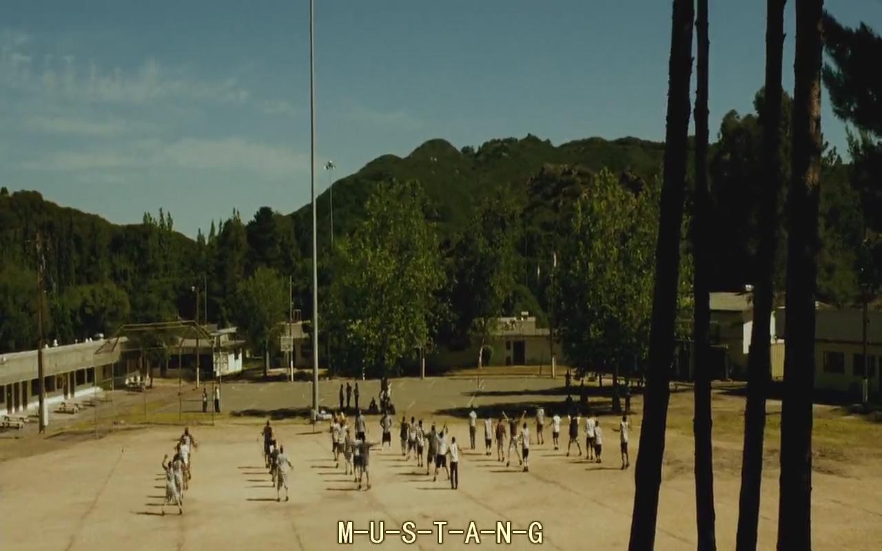 重振球风剧照的剧照