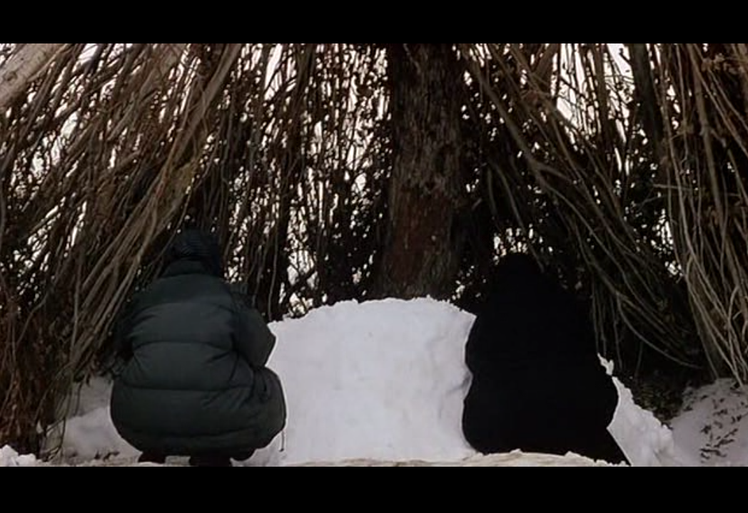 栗色伊拉克剧照的剧照