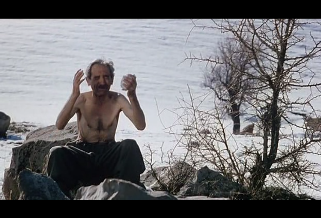 栗色伊拉克剧照的剧照