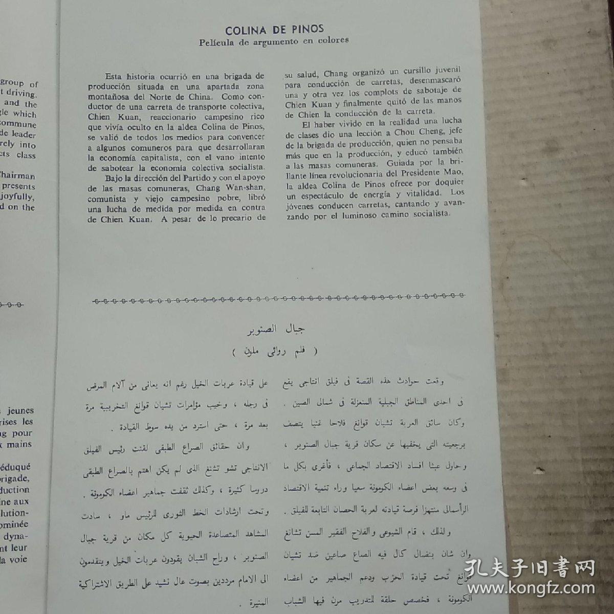 青松岭剧照的剧照