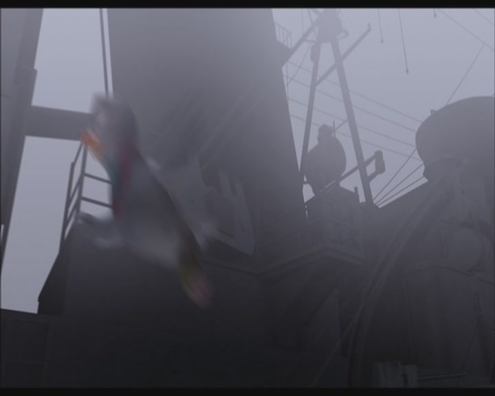 战鸽总动员剧照的剧照