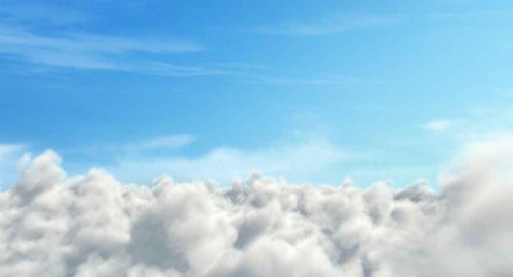 战鸽总动员剧照的剧照