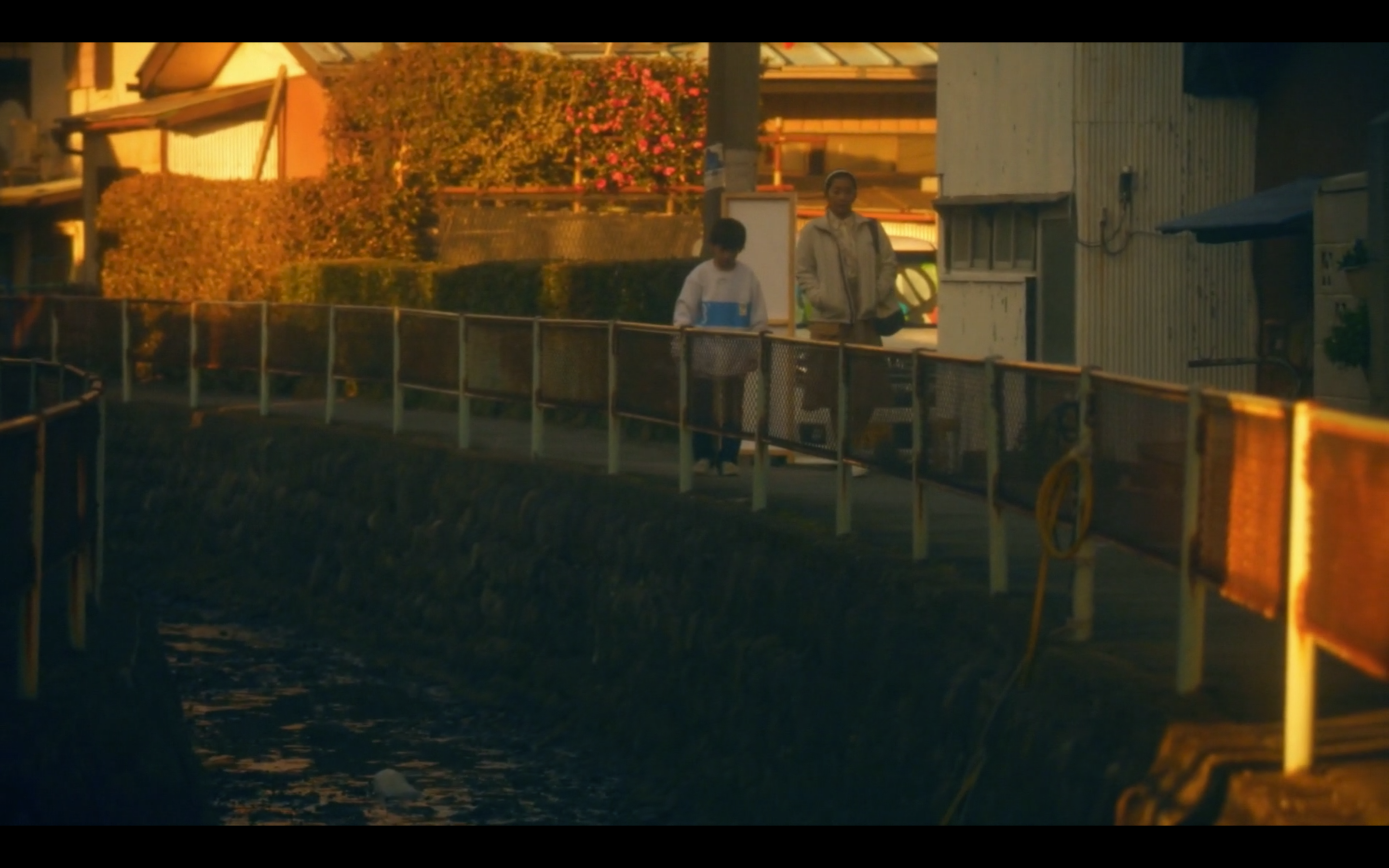 蓝心狂想曲剧照的剧照