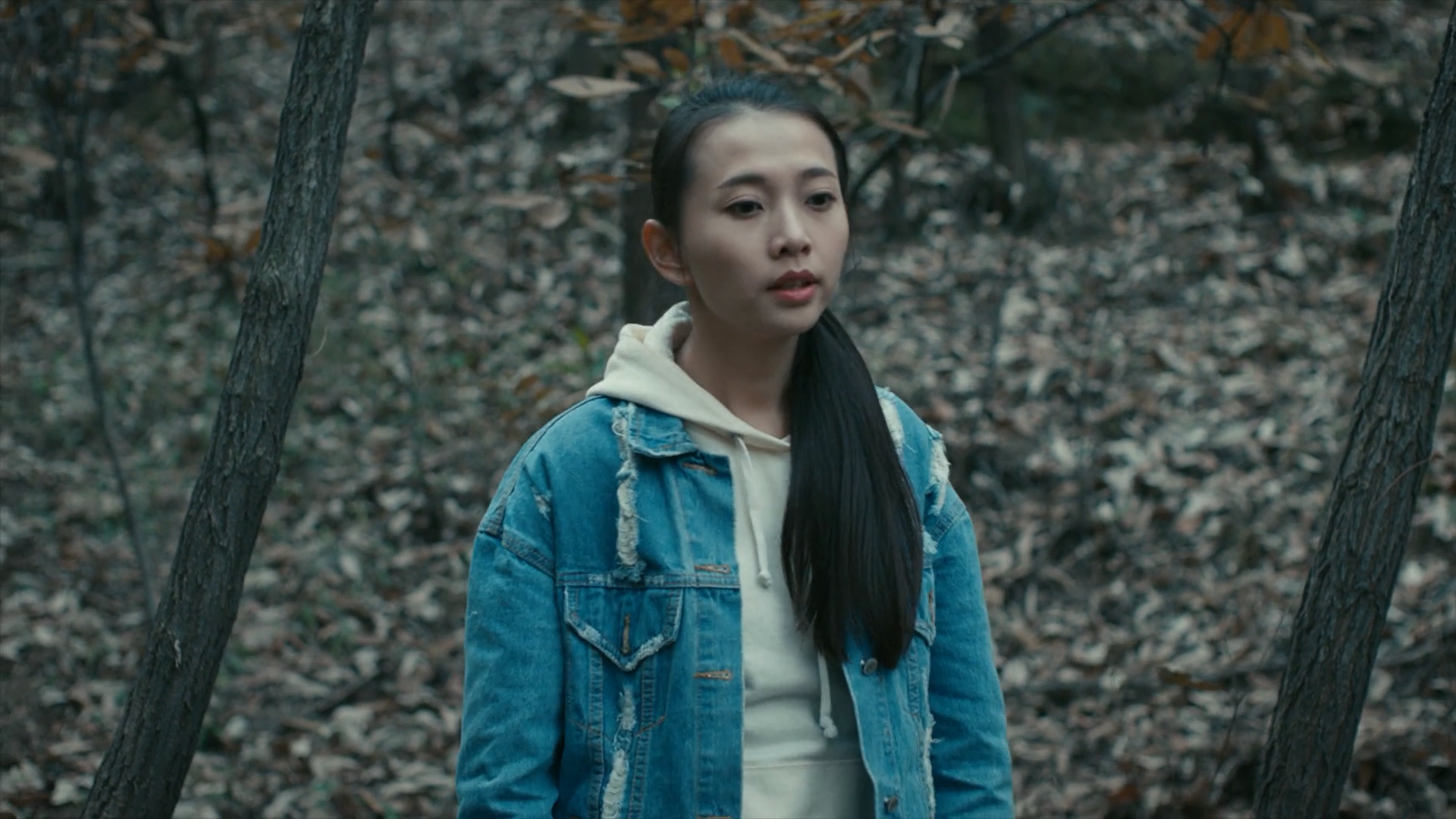 云雾笼罩的山峰剧照的剧照