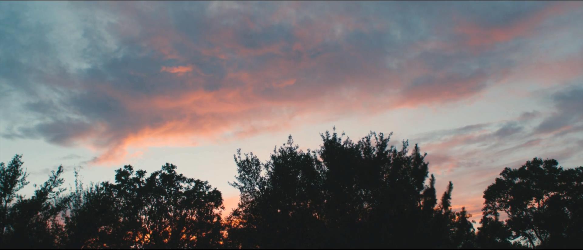 红白蓝剧照的剧照