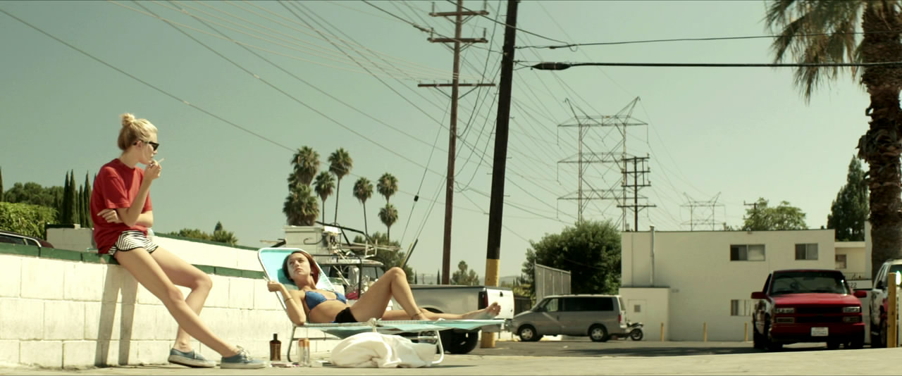 待绽蔷薇剧照的剧照