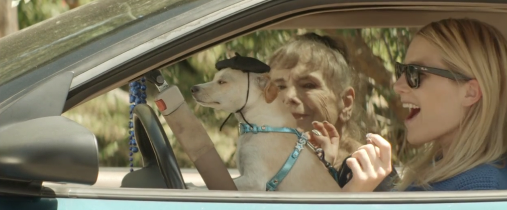 待绽蔷薇剧照的剧照