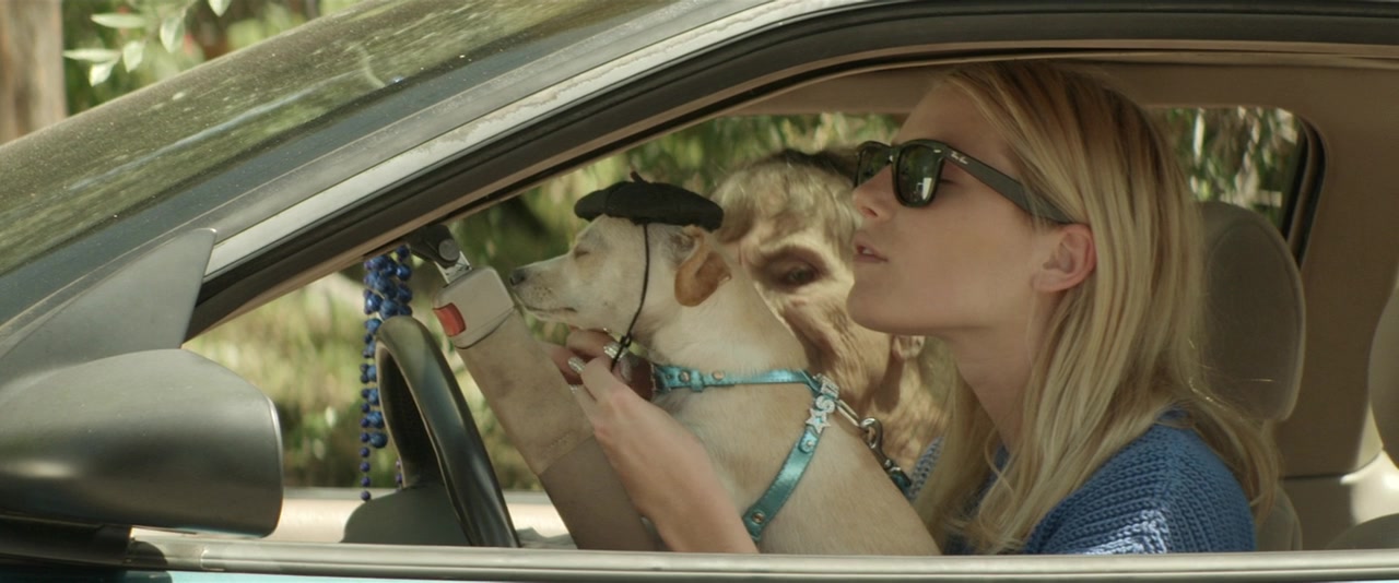 待绽蔷薇剧照的剧照