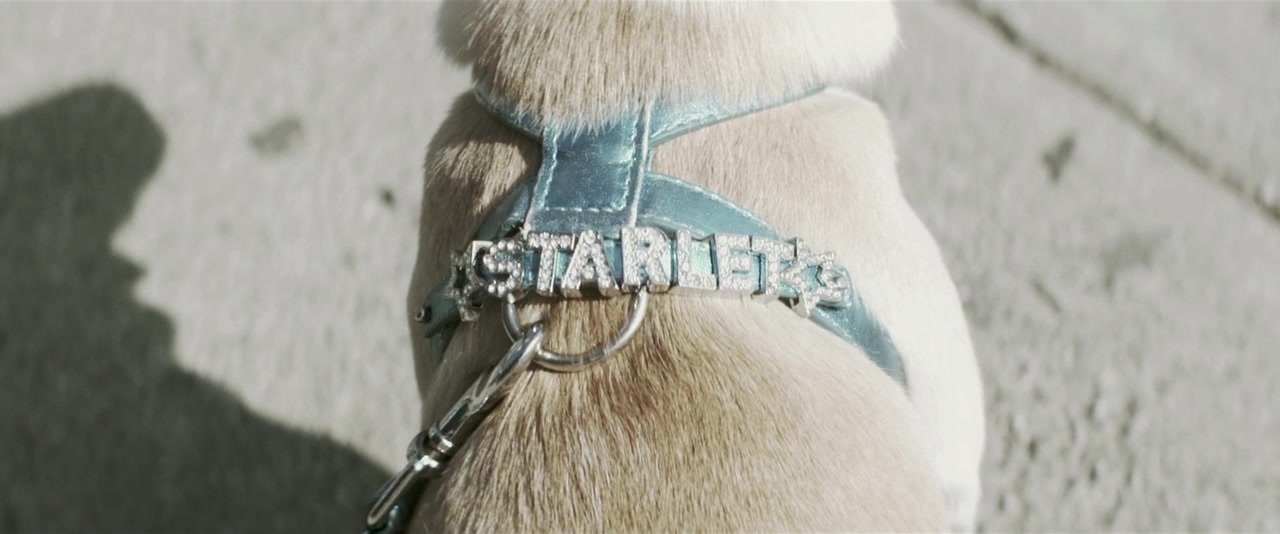 待绽蔷薇剧照的剧照