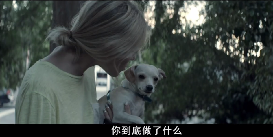 待绽蔷薇剧照的剧照