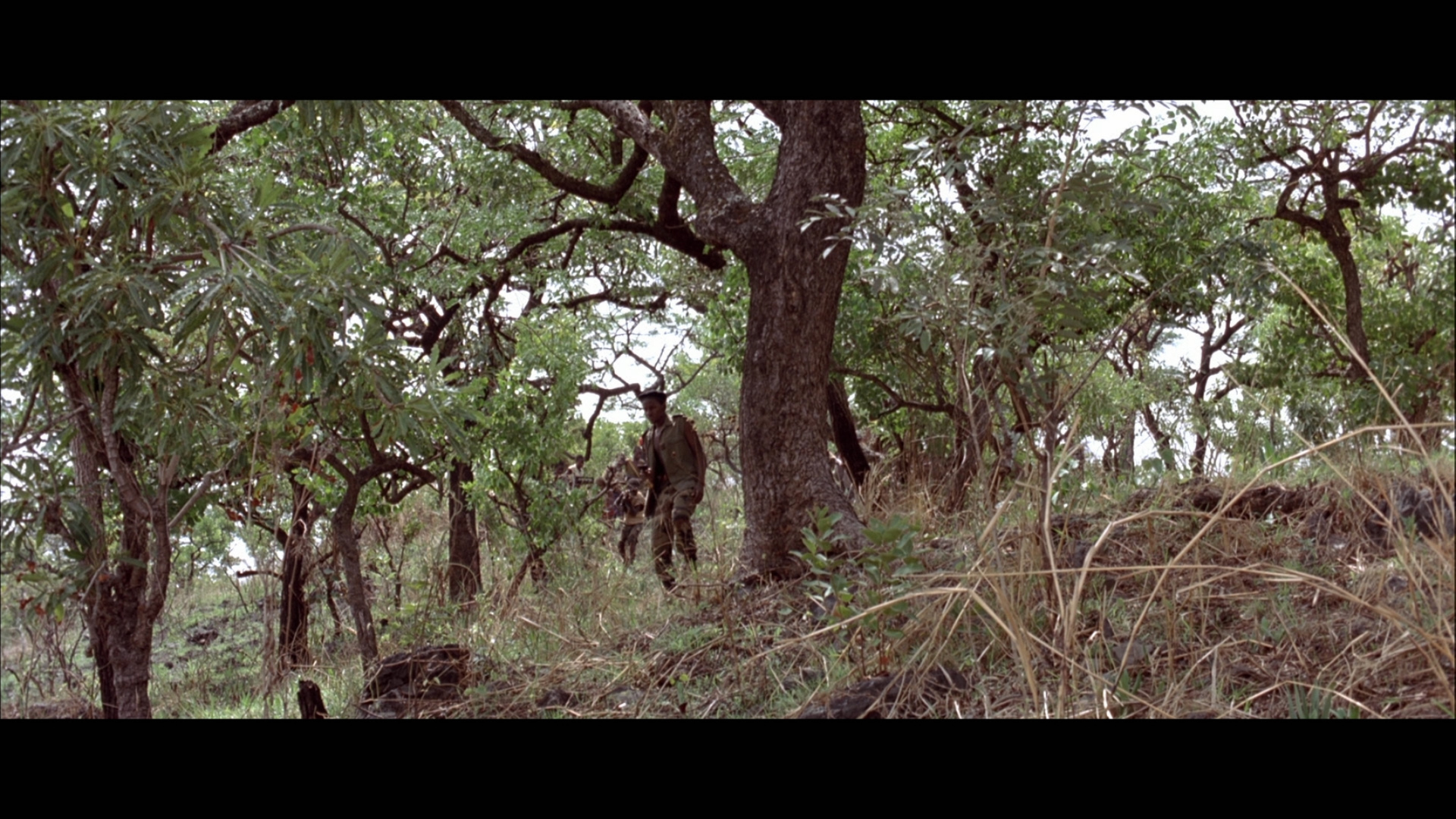 白色物质剧照的剧照