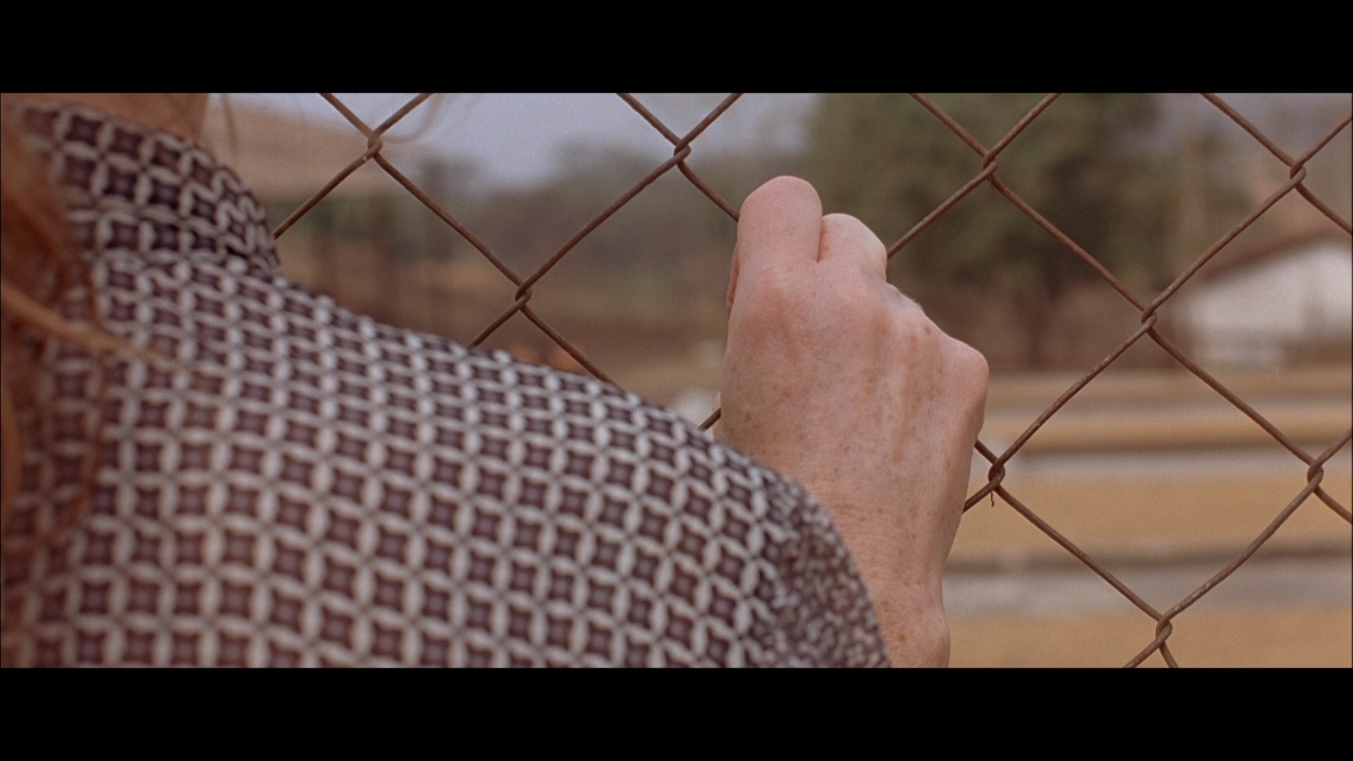 白色物质剧照的剧照