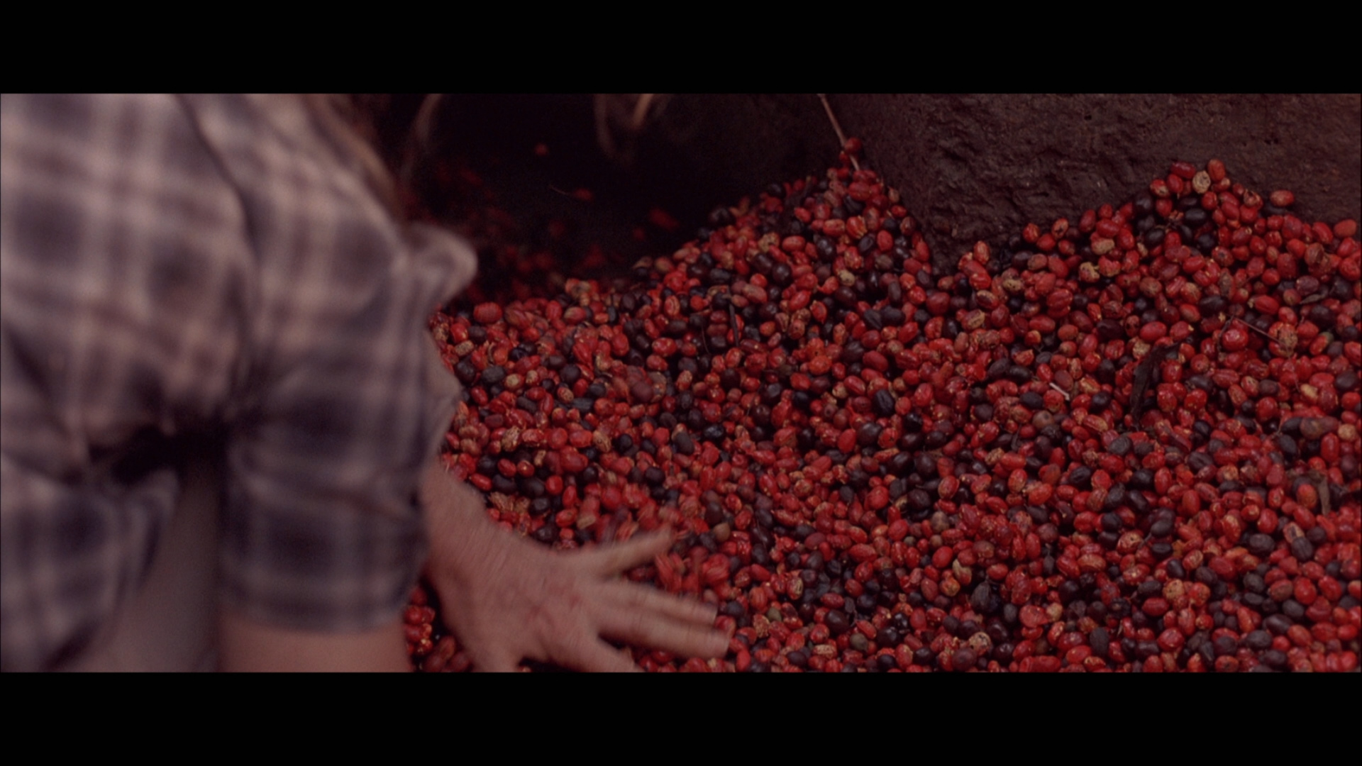 白色物质剧照的剧照