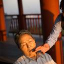 北京屋檐下剧照