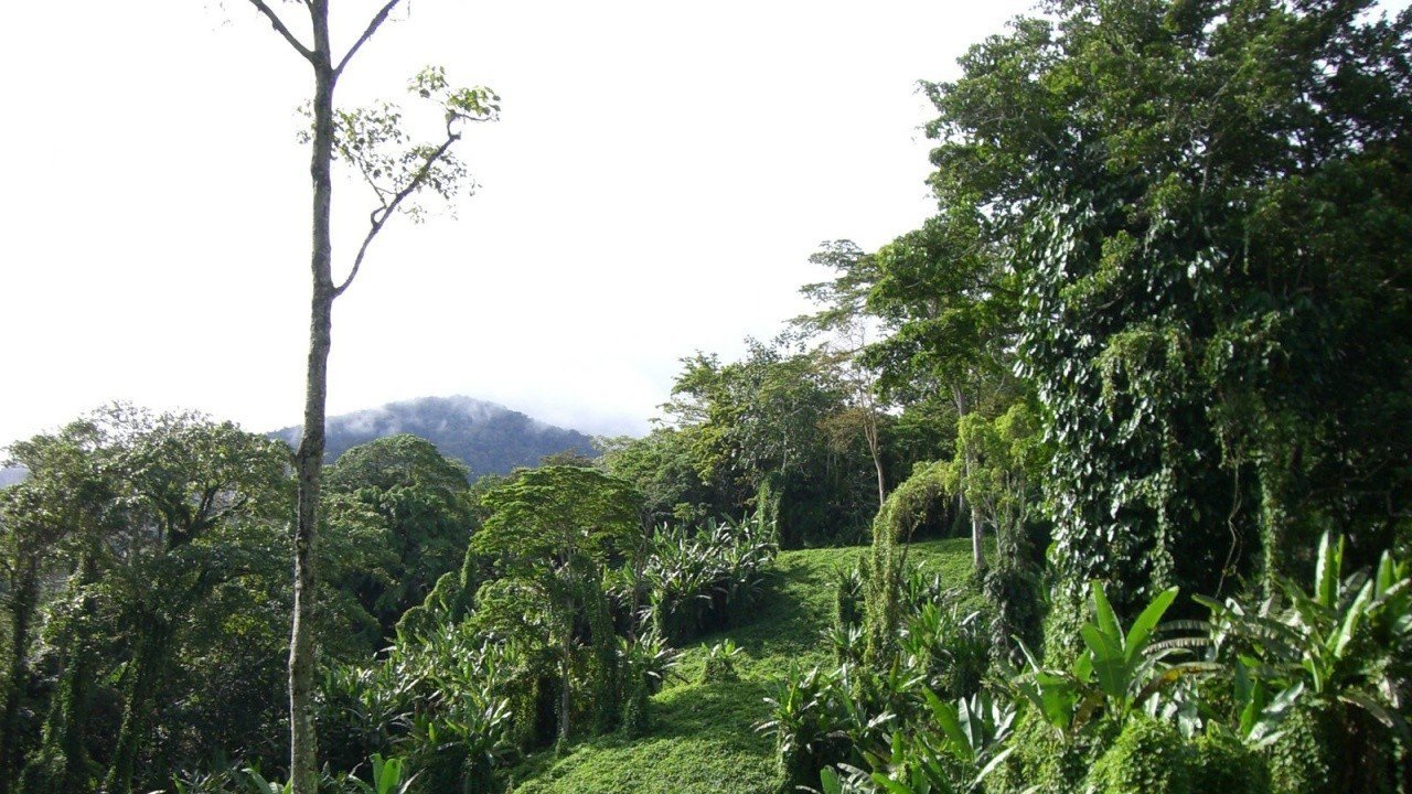 苦战科科达剧照的剧照