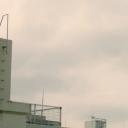 町田君的世界剧照