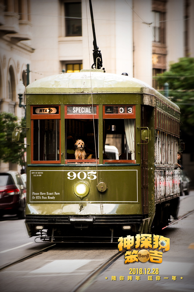 神探狗笨吉剧照的剧照