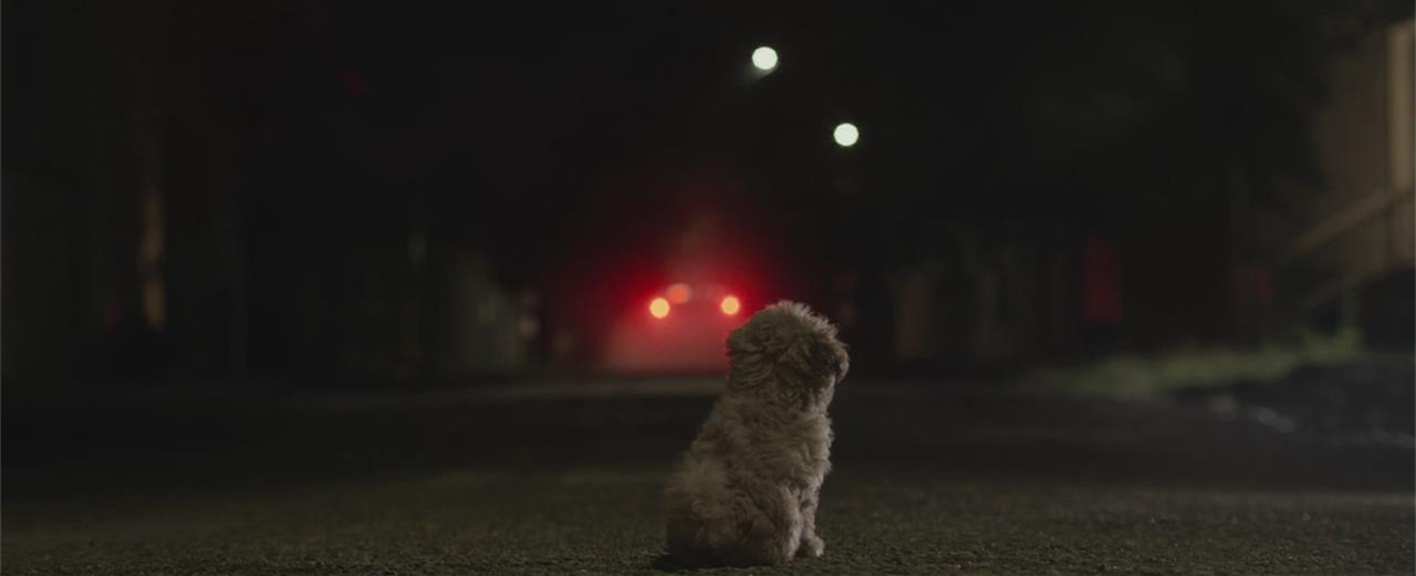 神探狗笨吉剧照的剧照