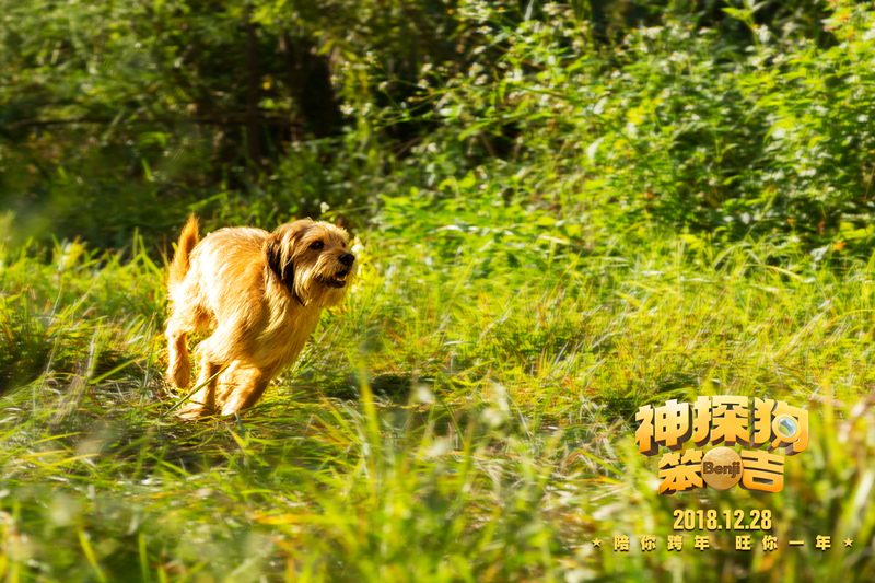 神探狗笨吉剧照的剧照