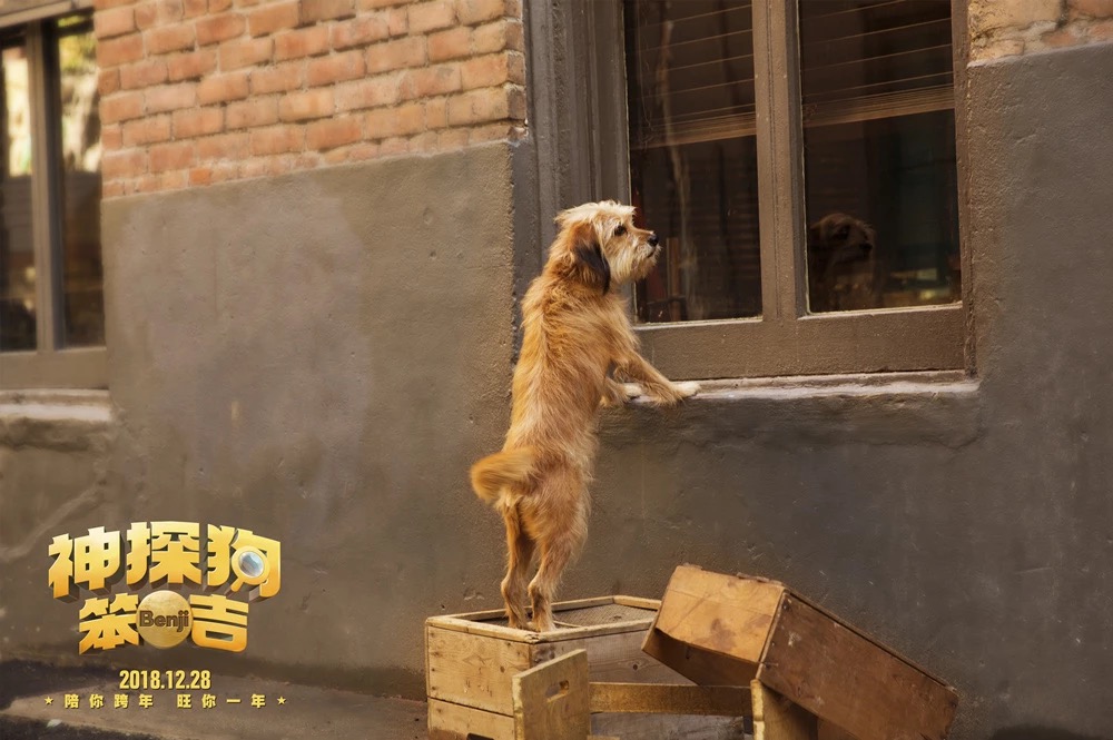 神探狗笨吉剧照的剧照