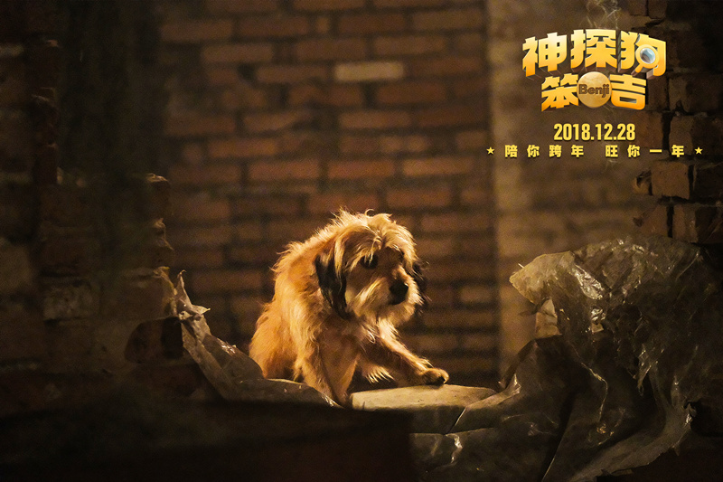 神探狗笨吉剧照的剧照