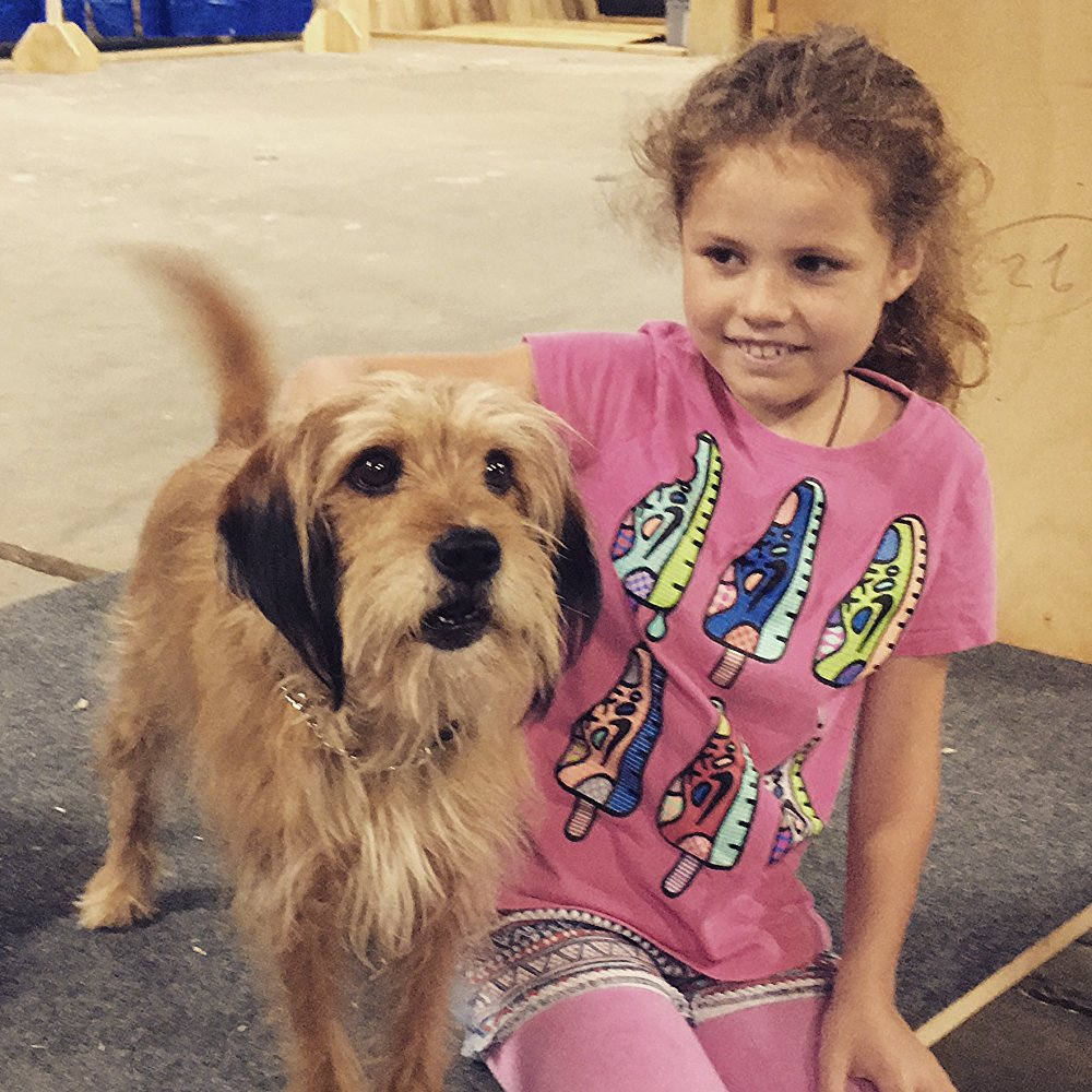 神探狗笨吉剧照的剧照