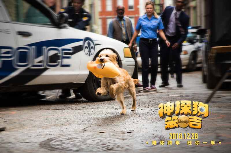 神探狗笨吉剧照的剧照