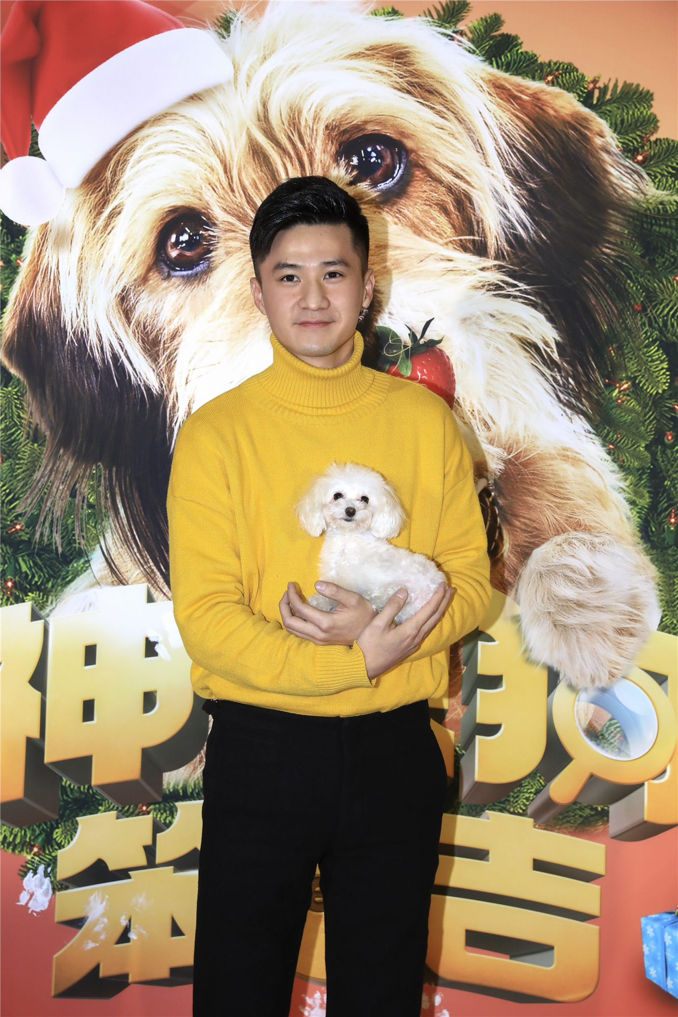 神探狗笨吉剧照的剧照