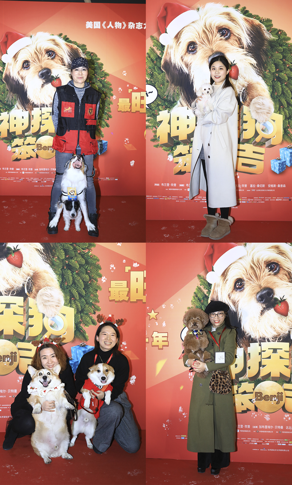 神探狗笨吉剧照的剧照